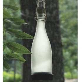 led-solar-glass-bottle-light-aa-sl-2712-white-5.jpg