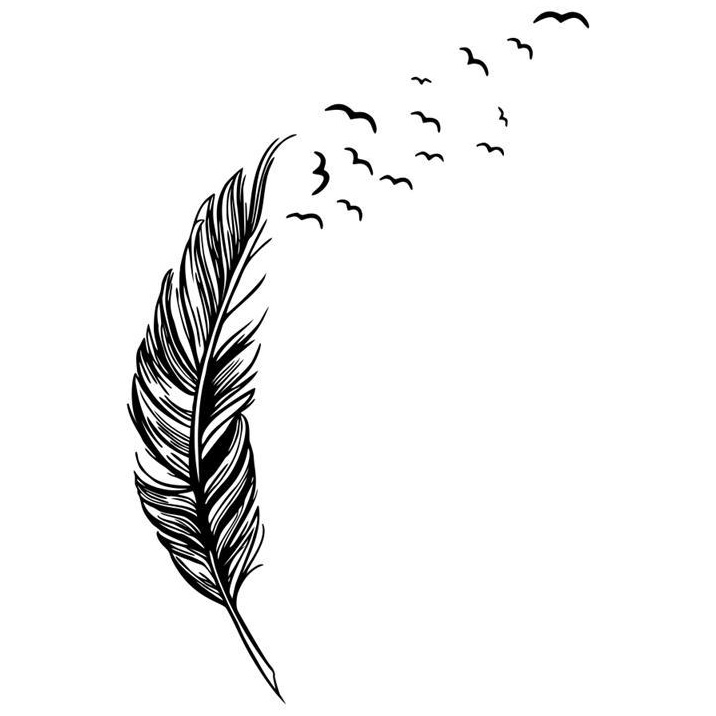 sticker wallpaper flying feather black jakartanotebook sticker wallpaper flying feather black jakartanotebook