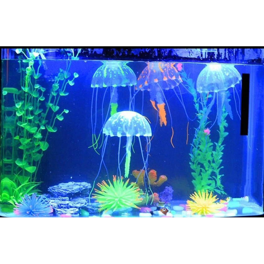 680+ Dekorasi Lemari Aquarium HD Terbaik