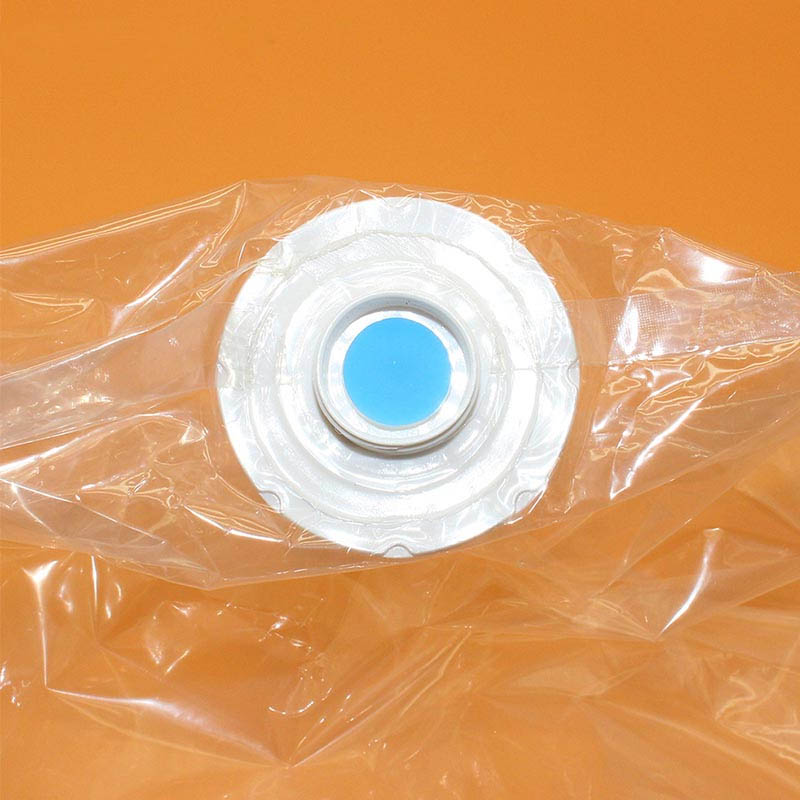 Kantong Vacuum Bag Gantungan Baju Lemari Anti Debu - Blue 