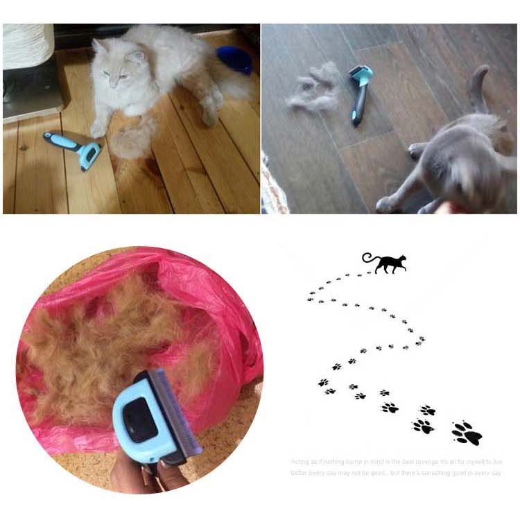 Sisir Cukur Grooming Trimmer Anjing dan Kucing - Size S - Blue - 7
