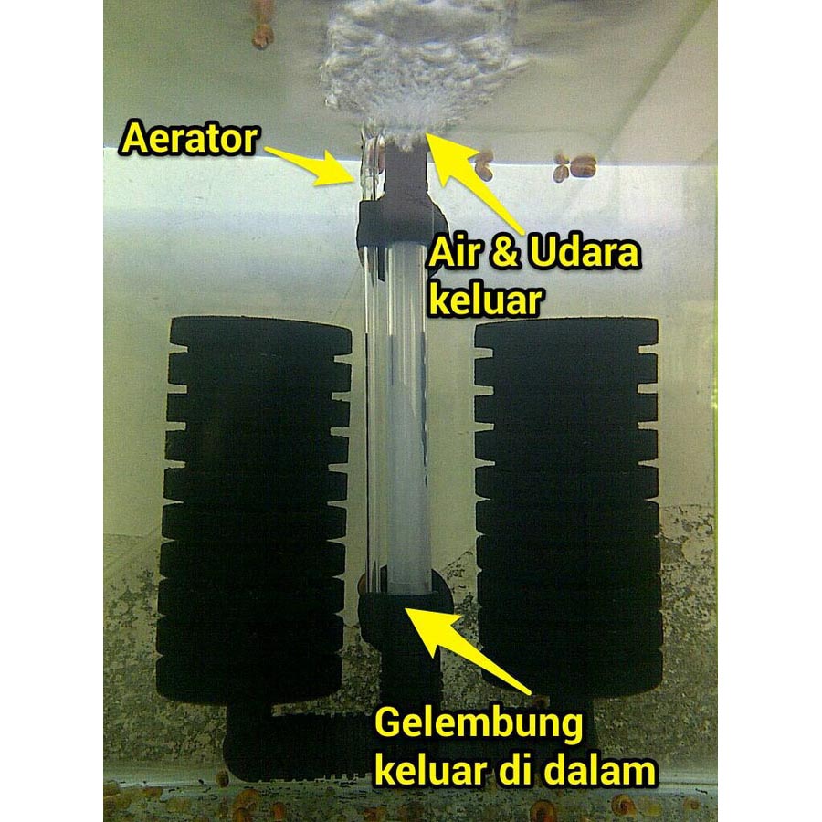 Diy Fish Tank Aerator