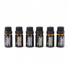 Taffware HUMI Set Pure Essential Fragrance Oils Minyak Aromatherapy Diffusers 10ml 6PCS - RH-06 - 5