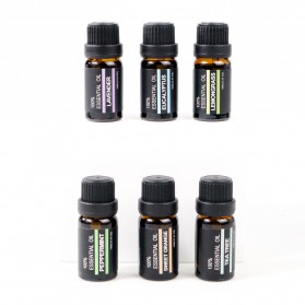 Taffware HUMI Set Pure Essential Fragrance Oils Minyak Aromatherapy Diffusers 10ml 6PCS - RH-06 - 2