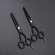 Gambar produk MrTiger Gunting Rambut Professional Barber Hairdressing Scissors 5.5 Inch 2 PCS with Razor Comb - 440C