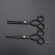 Gambar produk MrTiger Gunting Rambut Professional Barber Hairdressing Scissors 5.5 Inch 2 PCS with Razor Comb - 440C