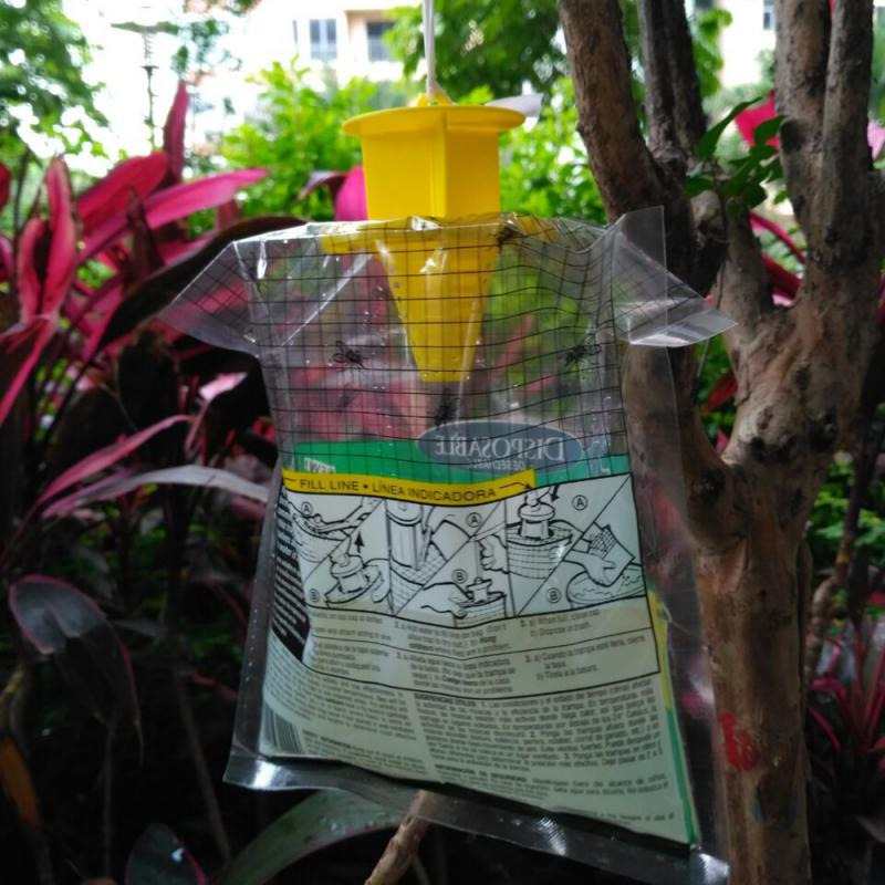 Gambar produk Hunters FLY Perangkap Lalat Disposable Hanging Flycatcher Trap - HG149