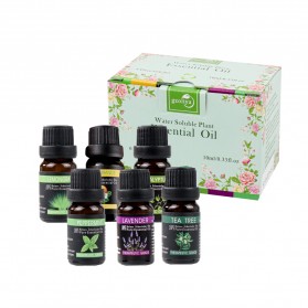 Gzoliya Pure Essential Fragrance Oils Minyak Aromatherapy Diffusers 10ml 6 PCS - YLS20