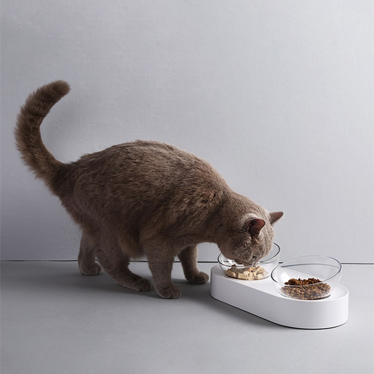 Xiaomi PETKIT Tempat Makan Hewan Peliharaan Kucing Anjing Xiaomi PETKIT Tempat Makan Hewan Peliharaan Kucing Anjing