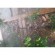 Gambar produk Water Mist Sprinkler Drip Irigasi Air Taman Simple Nozzle 90 Degree 10 PCS