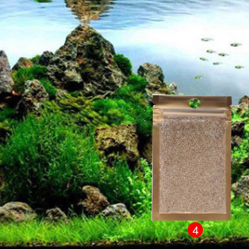 83 Jual Dekorasi Aquarium Gratis Terbaru