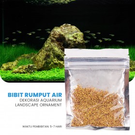 Bibit Rumput Air Dekorasi Aquarium Landscape Ornament Love Grass - H0027