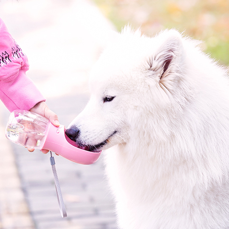 PB Botol Air Minum Khusus Hewan Peliharaan Pet Care Cup PB Botol Air Minum Khusus Hewan Peliharaan Pet Care Cup