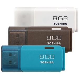 Toshiba Hayabusa USB Flash Drive 8GB - THN-U202W0080 