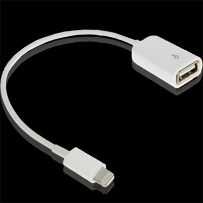 USB Female to Lightning 8 Pin OTG Cable for iPad 4/Air 