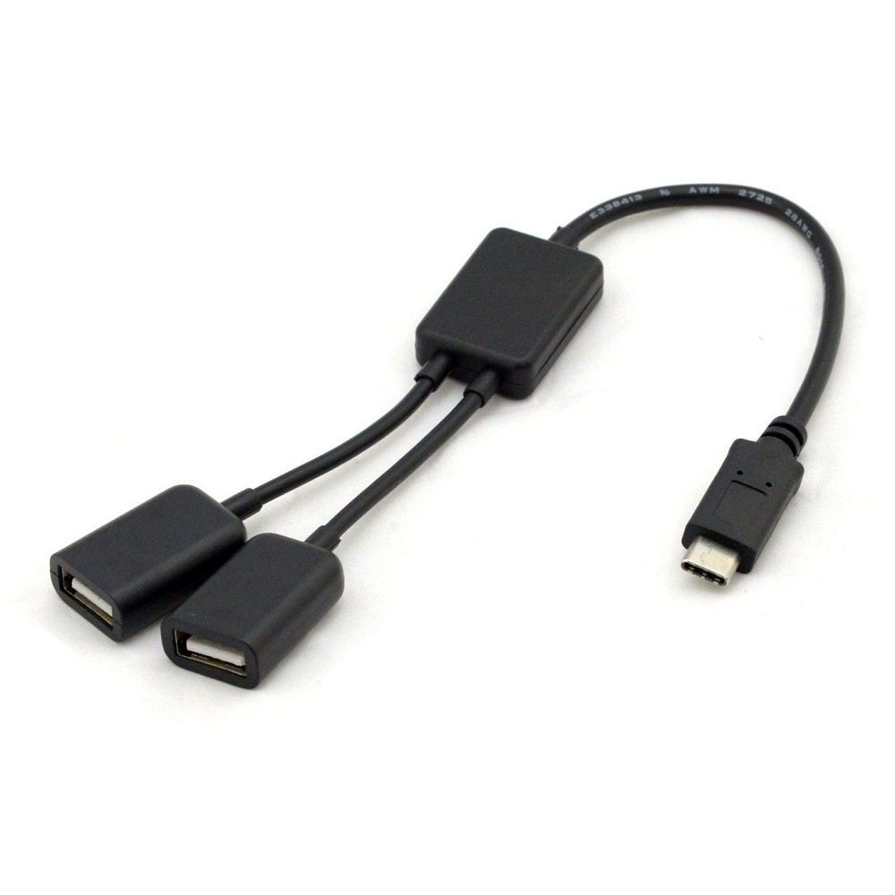 USB Type C to 2 x USB 2.0 Adapter - Black 
