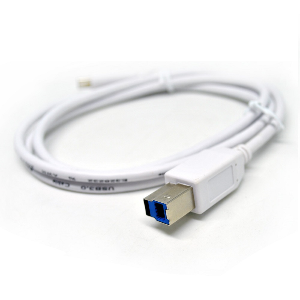 Usb 3 1 Type C To Usb Type B Data Cable White Jakartanotebook Com