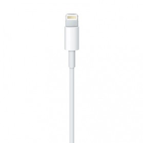 Apple Original Lightning USB Cable - White - 2