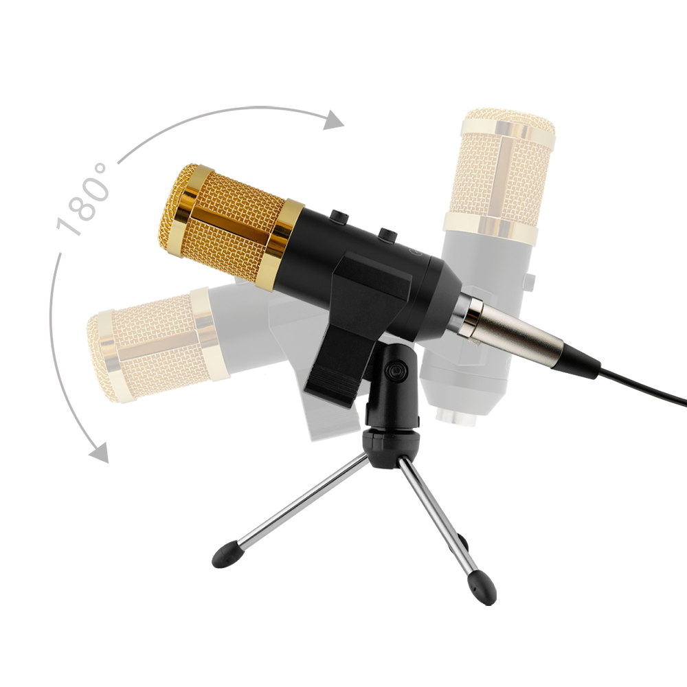 Taffware BM-900 Professional Condenser Microphone Built-in