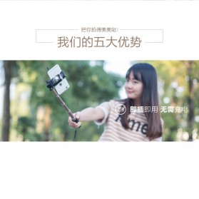 Remax Wired Selfie Stick / Tongsis - P5 - Golden - 4
