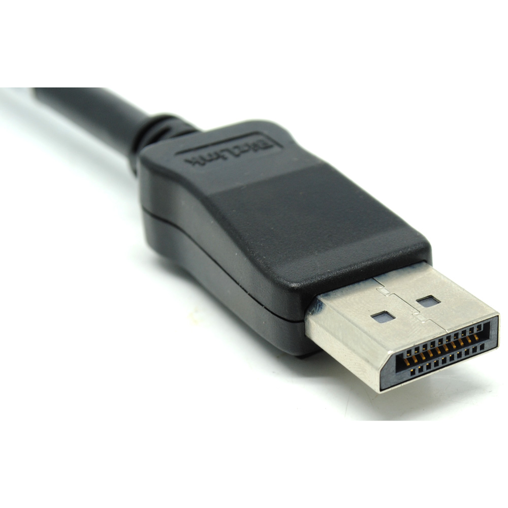 HP Bizlink Display Port to Female DVI-D Dual Link Adapter 