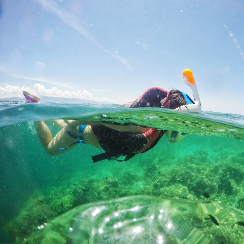 Telesin Dome Port Underwater Clear Photography 6 Inch Acrylic Base for