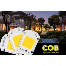 Chip Lampu COB LED Floodlight Spotlight 220V 30W - Cool White - White - 6