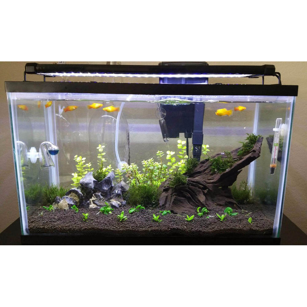 530 Koleksi Desain Kaos Aquarium HD Terbaru