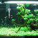 Gambar produk Effosola Termometer Pengukur Suhu Aquarium Glass Tube Temperature - YM-050