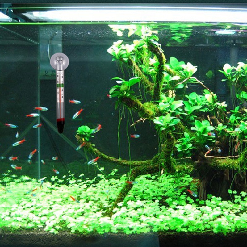 Gambar produk Effosola Termometer Pengukur Suhu Aquarium Glass Tube Temperature - YM-050