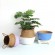 Gambar produk WITUSE Keranjang Jerami Storage Baskets Laundry Seagrass Hanging Flower 22cm - EQF302