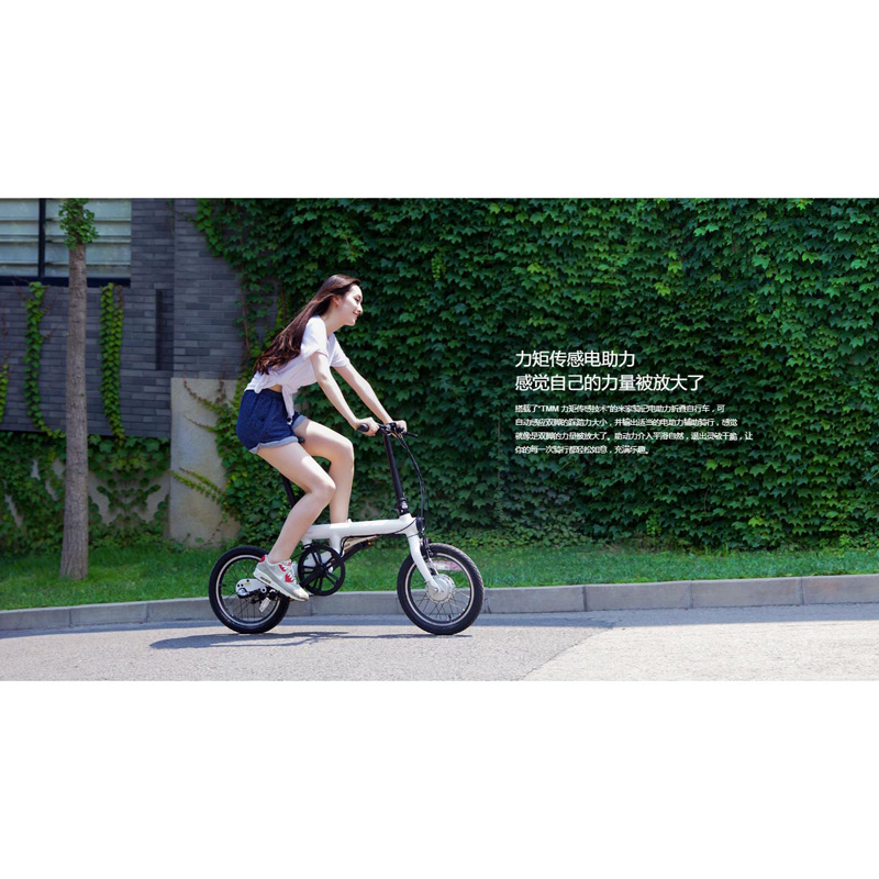 Xiaomi QiCycle Sepeda Elektrik Lipat Smart Bicycle - Black