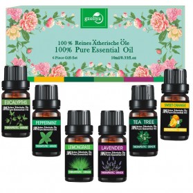 GZOLIYA Pure Aroma Essential Fragrance Oil Minyak Aromatherapy 6 in 1 10ml - RH6