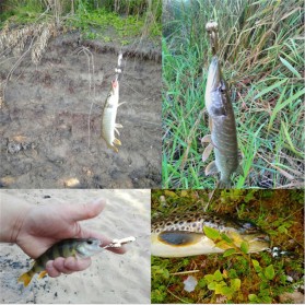 JYJ Umpan Pancing Ikan Metal Fishing Lure 20G - YA26 - Golden - 6