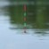 Gambar produk YEHUA Pelampung Umpan Pancing Fishing Floats Lure Bait LED Light - YD03