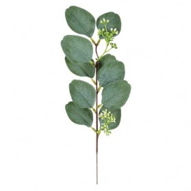 Fleur Tanaman Daun Eucalyptus Plastik Artificial Dekorasi 1 PCS Model Leaf - Green