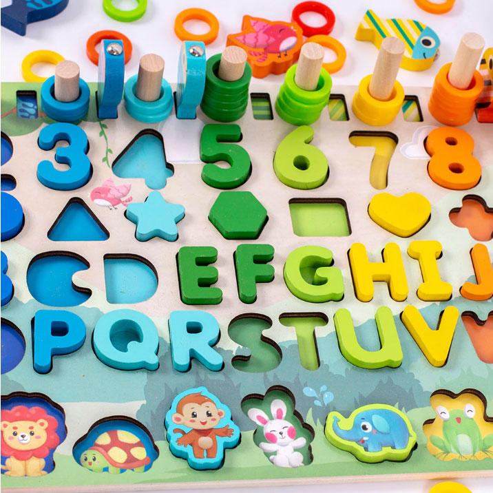 Gambar produk DOYOQI Mainan Anak Montessori Shape Matching Children Toy - Z0567