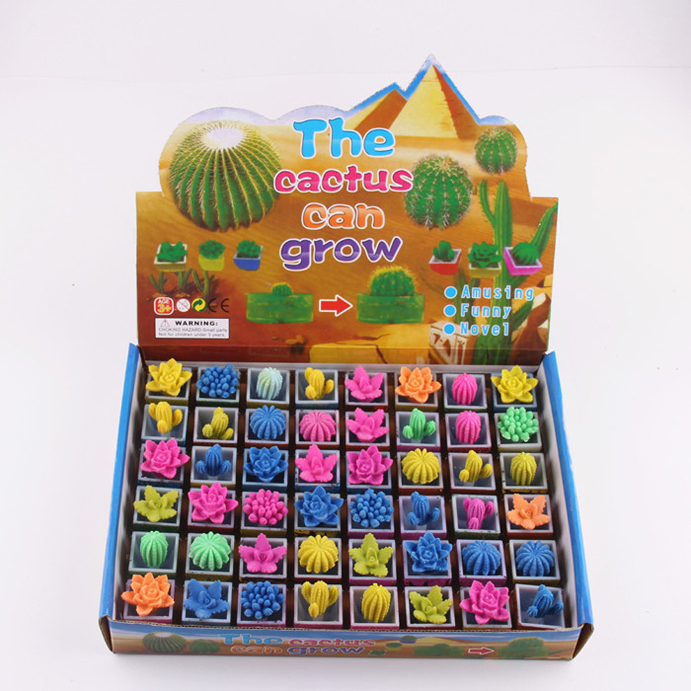Colored Magic Growing Cactus Kids Toy / Mainan Kaktus (Little Size) 1
