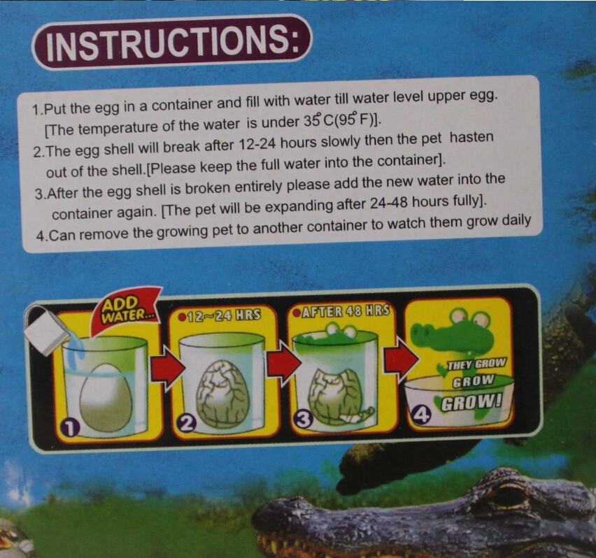 Beli Mainan  Dinosaurus Mainan  Anak  Perempuan