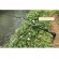 Gambar produk TaffSPORT Bracket Joran Pancing Ikan Adjustable Holder 1.7M - V-003