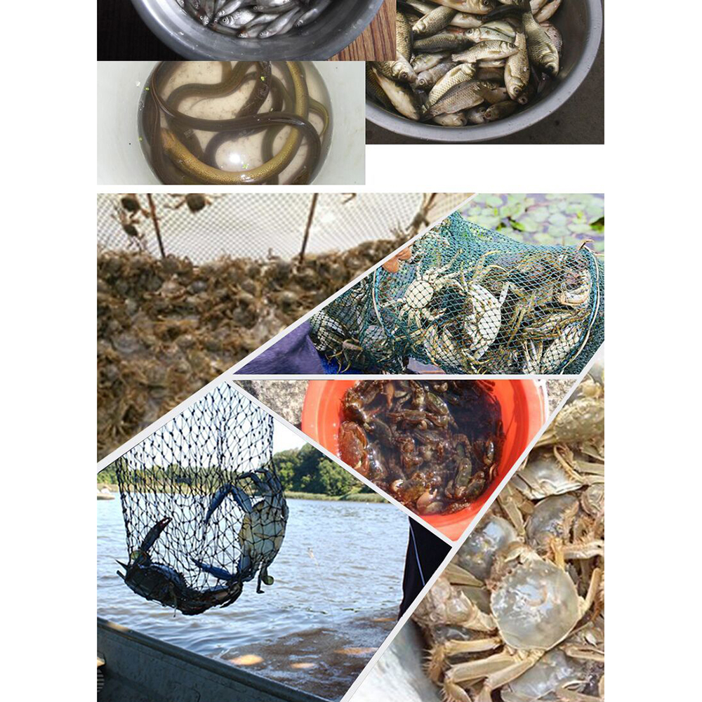 Gambar produk Jaring Pancing Ikan Hexagonal 8 Hole Fishing Net Trap Cage - Net001