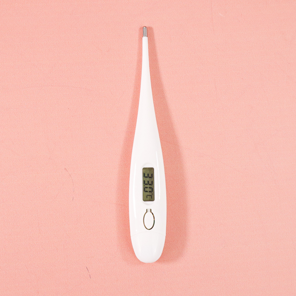 Gambar produk Digital Thermometer with Beeper - KT-DT4B