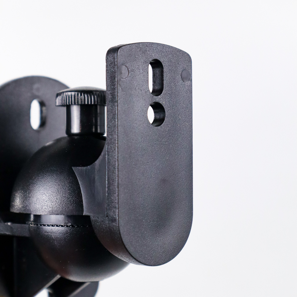 Speaker mount