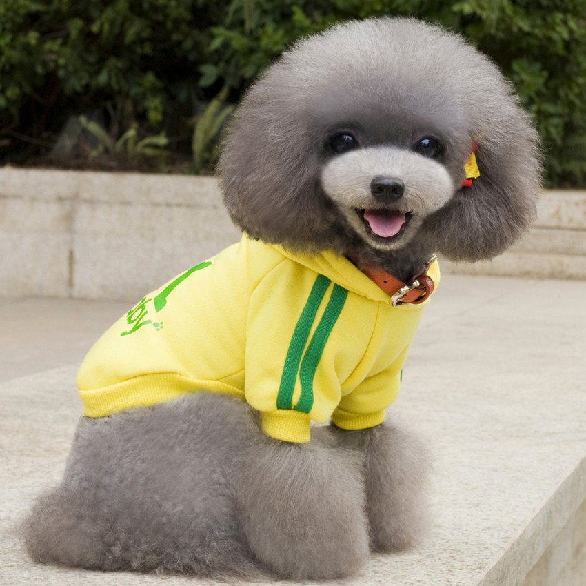 Adidog Baju Jaket Hoodie Anjing Size M Yellow Jakartanotebook Com