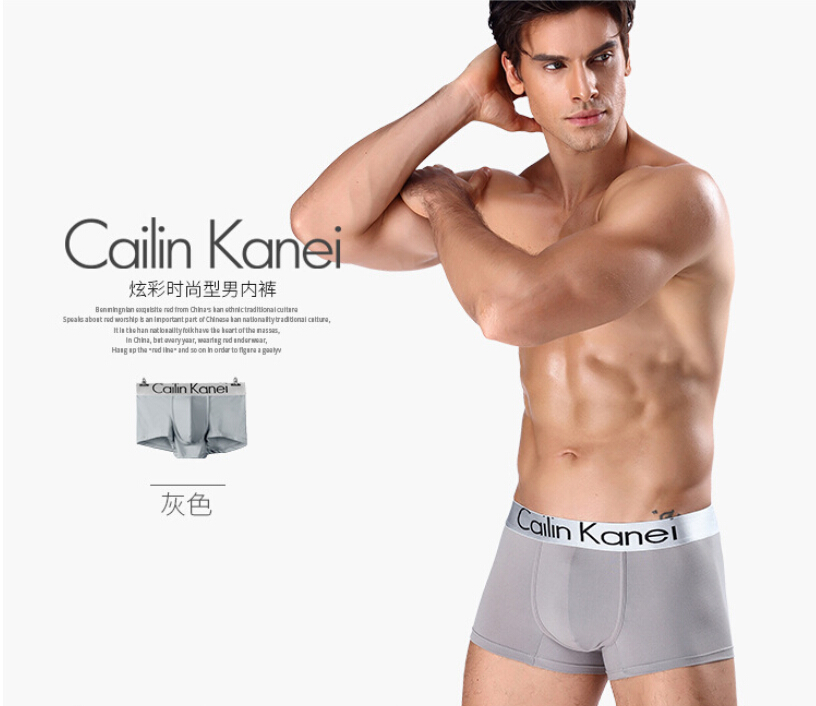 Cailin Kanei Celana Dalam Boxer Brief Pria 4 PCS - Size XL 