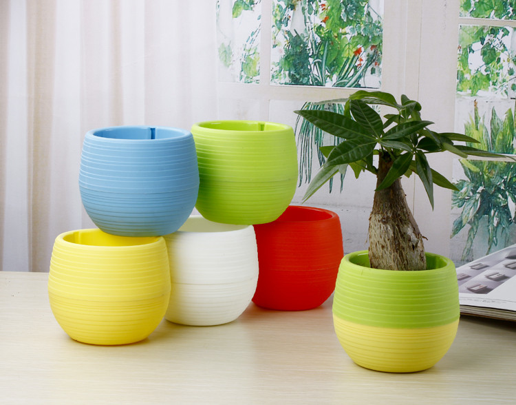 Mini Pot Bunga Hias Kaktus Tanaman - 5 PCS - Multi-Color 