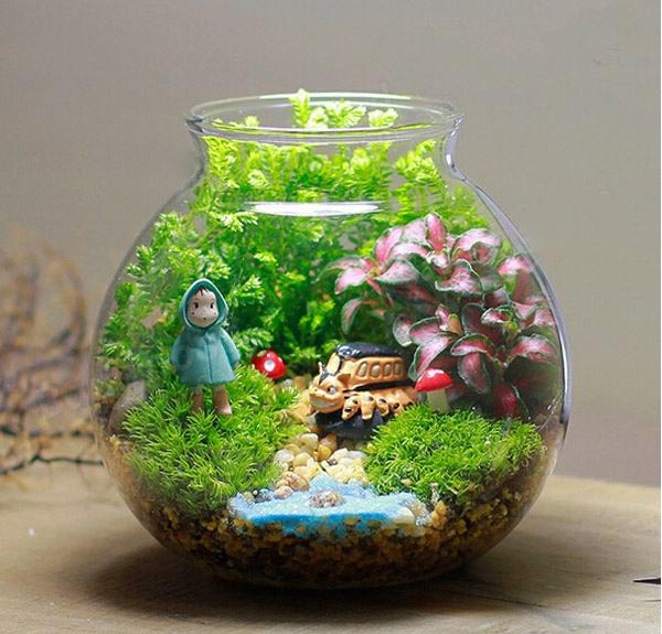 Vas Terrarium Jarrarium Moss Succulent Tanaman Micro 